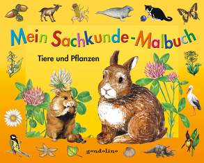 Mein Sachkunde-Malbuch Tiere und Pflanzen von gondolino Malen und Basteln