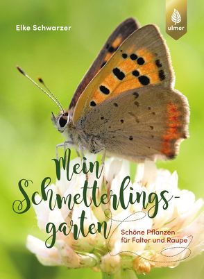 Mein Schmetterlingsgarten von Schwarzer,  Elke