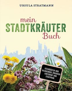 Mein Stadt-Kräuter-Buch von Stratmann,  Ursula