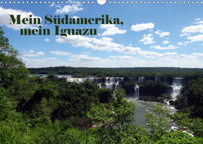 Mein Südamerika, mein Iguazu (Wandkalender 2021 DIN A3 quer) von Tamm,  Marianne