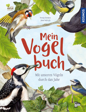 Mein Vogelbuch von Ernsten,  Svenja, Walczyk,  Jana