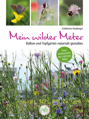 Mein wilder Meter von Heuberger,  Katharina