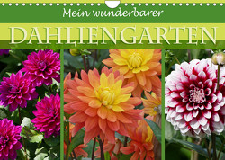 Mein wunderbarer Dahliengarten (Wandkalender 2022 DIN A4 quer) von B-B Müller,  Christine