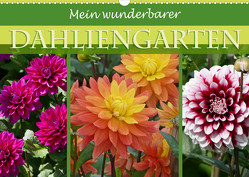 Mein wunderbarer Dahliengarten (Wandkalender 2023 DIN A3 quer) von B-B Müller,  Christine