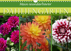 Mein wunderbarer Dahliengarten (Wandkalender 2023 DIN A4 quer) von B-B Müller,  Christine