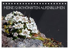 Meine 12 schönsten Alpenblumen (Tischkalender 2024 DIN A5 quer), CALVENDO Monatskalender von Kramer,  Christa