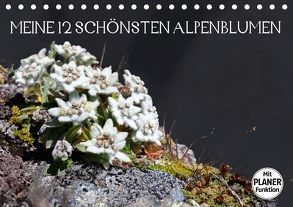 Meine 12 schönsten AlpenblumenAT-Version (Tischkalender 2018 DIN A5 quer) von Kramer,  Christa