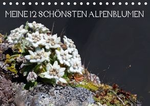 Meine 12 schönsten AlpenblumenAT-Version (Tischkalender 2018 DIN A5 quer) von Kramer,  Christa