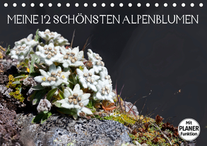 Meine 12 schönsten AlpenblumenAT-Version (Tischkalender 2020 DIN A5 quer) von Kramer,  Christa