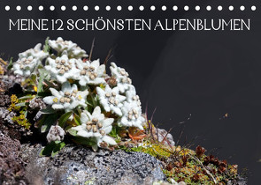 Meine 12 schönsten AlpenblumenAT-Version (Tischkalender 2022 DIN A5 quer) von Kramer,  Christa