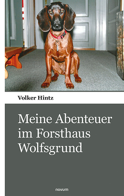 Meine Abenteuer im Forsthaus Wolfsgrund von Hintz,  Volker