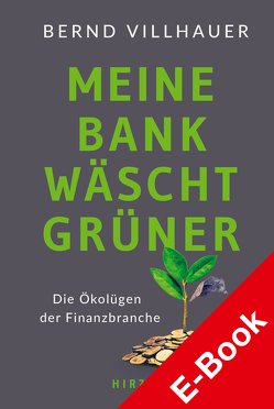 Meine Bank wäscht grüner von Villhauer,  Bernd