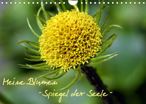 Meine Blumen – Spiegel der Seele (Wandkalender 2022 DIN A4 quer) von Wandt,  Stefanie