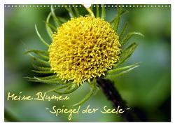 Meine Blumen – Spiegel der Seele (Wandkalender 2024 DIN A3 quer), CALVENDO Monatskalender von Wandt,  Stefanie