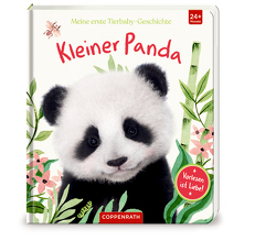 Meine erste Tierbaby-Geschichte: Kleiner Panda von Chu,  Vikki, Winnel,  Bec, Wood,  Amanda