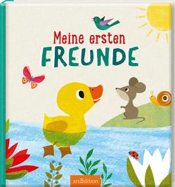 Meine ersten Freunde von Teckentrup,  Britta