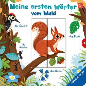 Meine ersten Wörter vom Wald – Sprechen lernen mit großen Schiebern und Sachwissen für Kinder ab 12 Monaten von Frank,  Cornelia, Scott,  Matthew