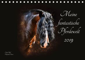 Meine fantastische Pferdewelt (Tischkalender 2019 DIN A5 quer) von Bleck,  Nicole
