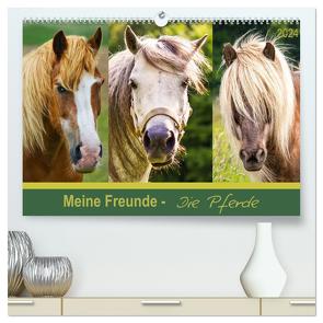 Meine Freunde – die Pferde (hochwertiger Premium Wandkalender 2024 DIN A2 quer), Kunstdruck in Hochglanz von Dölling,  AD DESIGN Photo + PhotoArt,  Angela