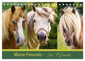 Meine Freunde – die Pferde (Tischkalender 2024 DIN A5 quer), CALVENDO Monatskalender von Dölling,  AD DESIGN Photo + PhotoArt,  Angela