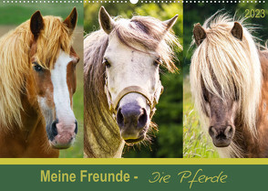 Meine Freunde – die Pferde (Wandkalender 2023 DIN A2 quer) von DESIGN Photo + PhotoArt,  AD, Dölling,  Angela