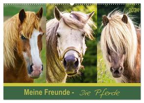 Meine Freunde – die Pferde (Wandkalender 2024 DIN A2 quer), CALVENDO Monatskalender von Dölling,  AD DESIGN Photo + PhotoArt,  Angela
