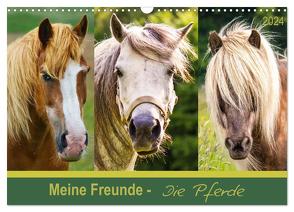 Meine Freunde – die Pferde (Wandkalender 2024 DIN A3 quer), CALVENDO Monatskalender von Dölling,  AD DESIGN Photo + PhotoArt,  Angela