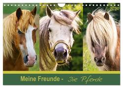 Meine Freunde – die Pferde (Wandkalender 2024 DIN A4 quer), CALVENDO Monatskalender von Dölling,  AD DESIGN Photo + PhotoArt,  Angela