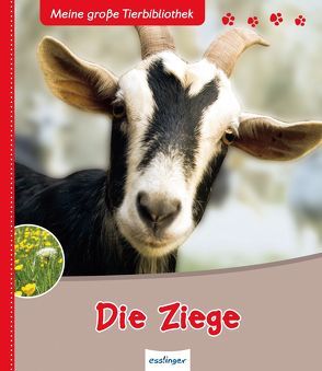 Meine große Tierbibliothek: Die Ziege von Brauner,  Anne, Noblet,  Jean