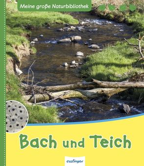 Meine große Naturbibliothek: Bach und Teich von Zysk,  Stefanie