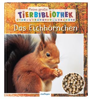 Meine große Tierbibliothek: Das Eichhörnchen von Brauner,  Anne, Ledu-Frattini,  Stéphanie