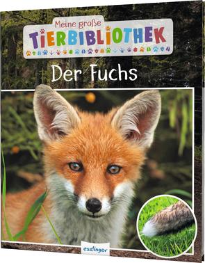 Meine große Tierbibliothek: Der Fuchs von Brauner,  Anne, Havard,  Christian