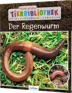 Meine große Tierbibliothek: Der Regenwurm von Tracqui,  Valérie