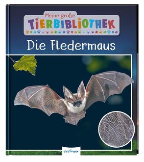 Meine große Tierbibliothek: Die Fledermaus von Möller,  Antje, Poschadel,  Dr. Jens