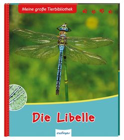Meine große Tierbibliothek: Die Libelle von Gutjahr,  Axel
