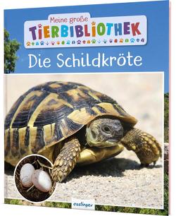 Meine große Tierbibliothek: Die Schildkröte von Gutjahr,  Axel