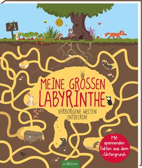 Meine großen Labyrinthe von Balzeau,  Antoine, Balzeau,  Karine, Weizman,  Gal