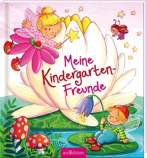 Meine Kindergarten-Freunde (Feen) von Kraushaar,  Sabine
