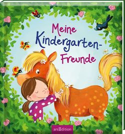 Meine Kindergarten-Freunde (Pferde) von Kraushaar,  Sabine
