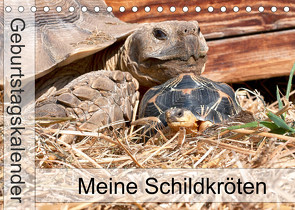 Meine Schildkröten – Geburtstagskalender (Tischkalender 2022 DIN A5 quer) von Sixt,  Marion