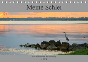 Meine Schlei 2019 (Tischkalender 2019 DIN A5 quer) von Sörnsen,  Jochen