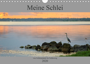 Meine Schlei 2020 (Wandkalender 2020 DIN A4 quer) von Sörnsen,  Jochen