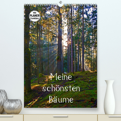 Meine schönsten Bäume (Premium, hochwertiger DIN A2 Wandkalender 2023, Kunstdruck in Hochglanz) von Kramer,  Christa