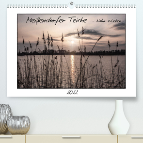 Meißendorfer Teiche – Natur erleben (Premium, hochwertiger DIN A2 Wandkalender 2022, Kunstdruck in Hochglanz) von LaPics