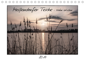 Meißendorfer Teiche – Natur erleben (Tischkalender 2019 DIN A5 quer) von LaPics
