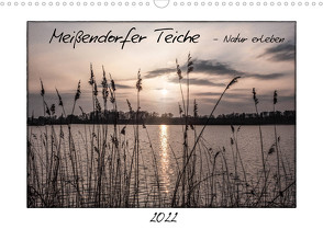 Meißendorfer Teiche – Natur erleben (Wandkalender 2022 DIN A3 quer) von LaPics