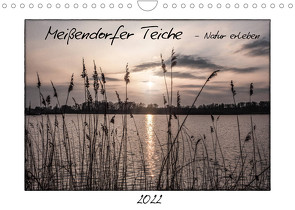 Meißendorfer Teiche – Natur erleben (Wandkalender 2022 DIN A4 quer) von LaPics