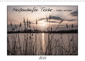 Meißendorfer Teiche – Natur erleben (Wandkalender 2023 DIN A3 quer) von LaPics