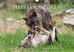 Meister Isegrim (Wandkalender 2023 DIN A3 quer) von Gerlach GDT,  Ingo