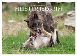 Meister Isegrim (Wandkalender 2024 DIN A2 quer), CALVENDO Monatskalender von Gerlach GDT,  Ingo